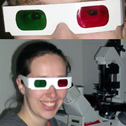 stereo/anaglyph glasses