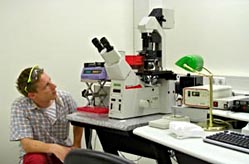 Modern confocal laser scanning microscope