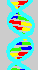 Mini DNA molecule