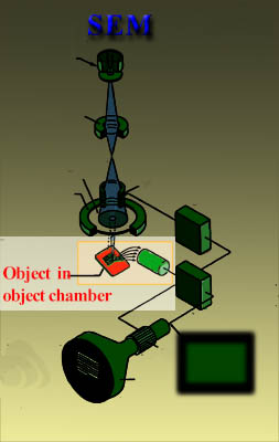 object chamber of the fesem