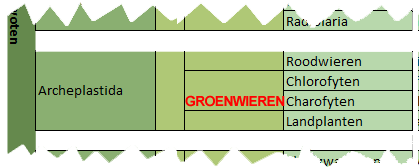 classificatie groenwieren