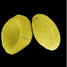 SEM photograph of European Lime pollen