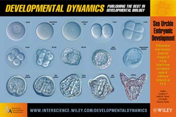 Thumbnail poster embryologie zeeegel