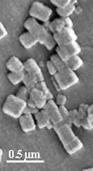 Fesem plaatje van aggregaten van moleculaire knijpers