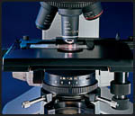 student microscoop